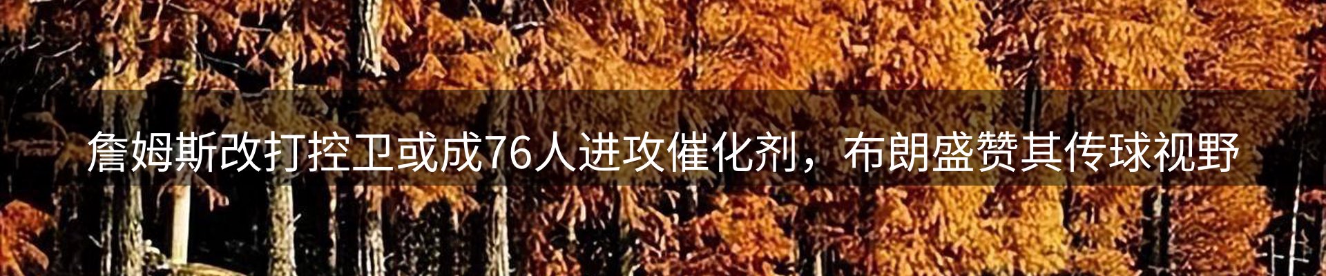 内页banner